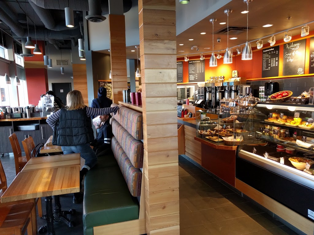 Good Earth Coffeehouse | RIVER CENTRE, 475 2 Ave S, Saskatoon, SK S7K 1P4, Canada | Phone: (306) 952-0143
