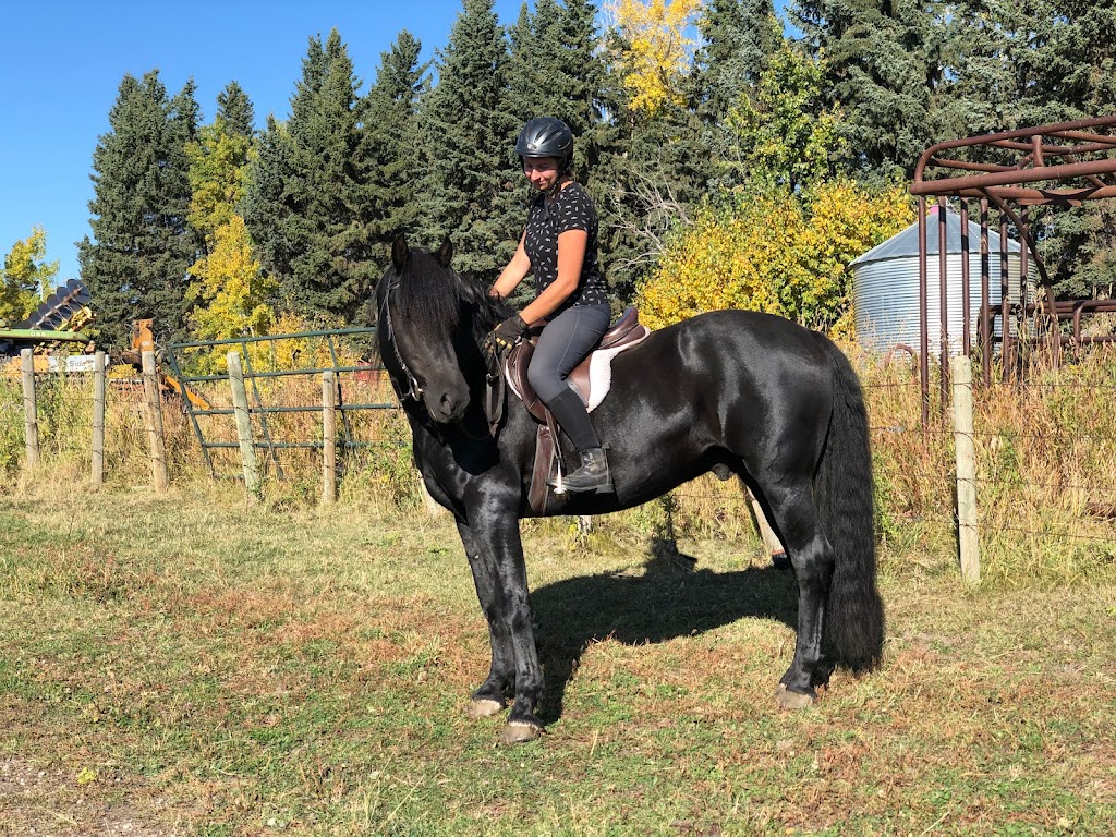 Canadian Hay Ranch | 30501 Range Road 45 Mailing address: Box 251, Cremona, AB T0M 0R0, Canada | Phone: (403) 990-1159