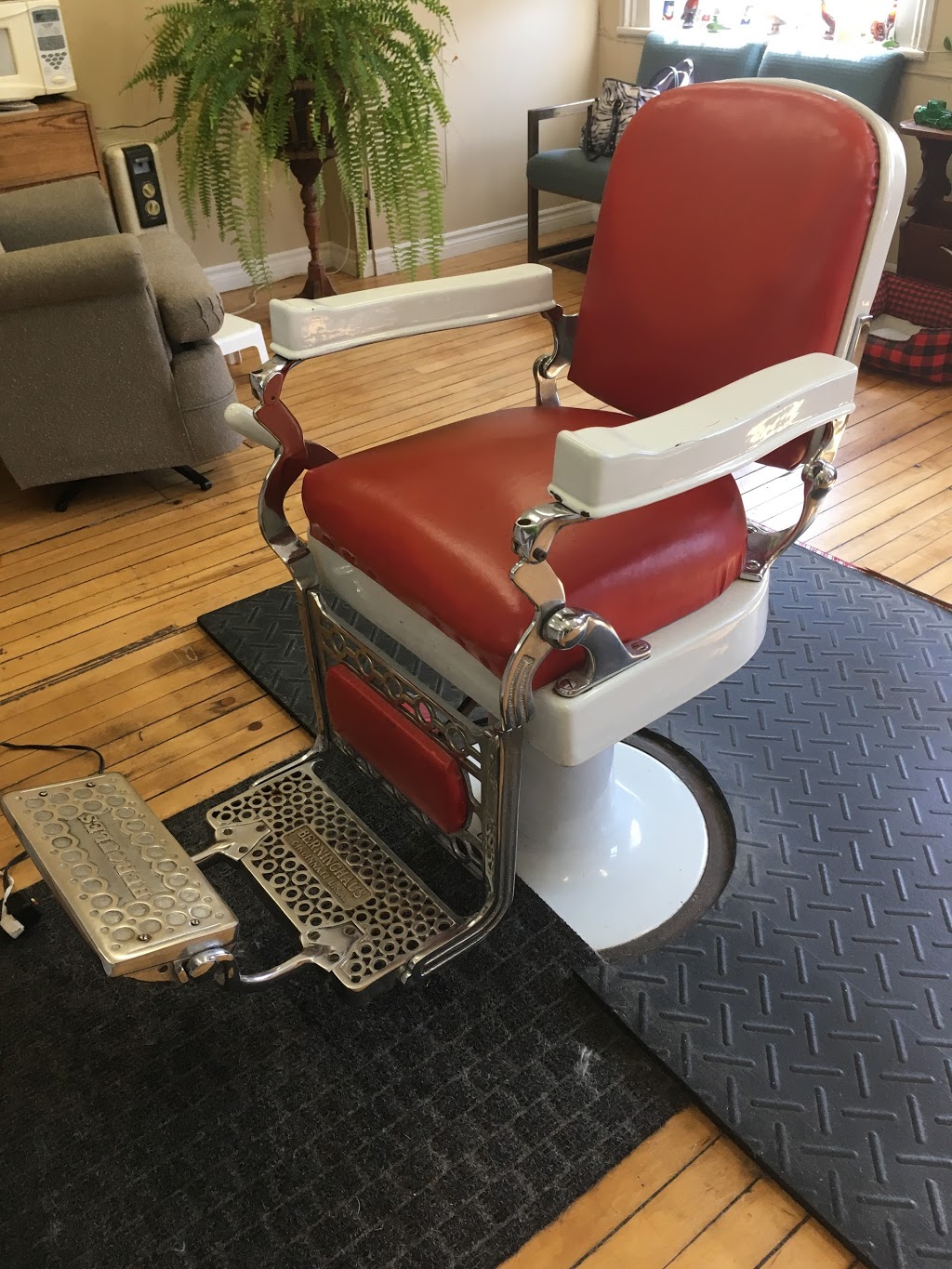 Amys Place | 455 Ridge Rd, Stirling, ON K0K 3E0, Canada | Phone: (613) 827-4923