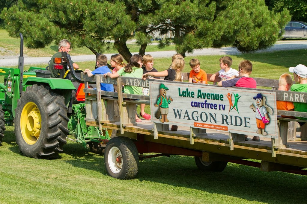 Lake Avenue RV Resort & Campground | 37 Lake Ave Ln, Cherry Valley, ON K0K 1P0, Canada | Phone: (613) 476-4990