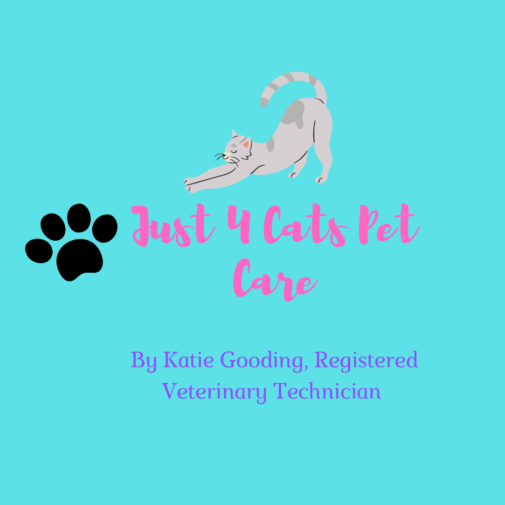 Just 4 Cats Pet Care | 885 Southdale Rd W #1112, London, ON N6P 0C5, Canada | Phone: (519) 709-4578