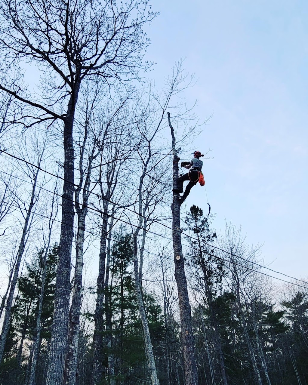 Wee Acres | 13847 Evangeline Trail, Wilmot, NS B0P 1W0, Canada | Phone: (780) 815-3089