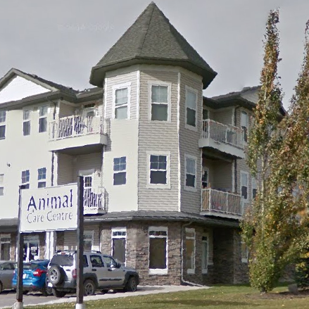 Animal Care Centre-Okotoks | 144 Crescent Rd W, Okotoks, AB T1S 1K2, Canada | Phone: (403) 938-0350