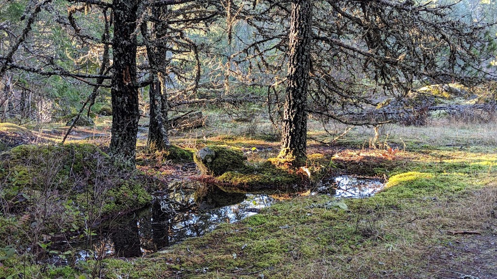 Spectacle Lake Provincial Park | Cowichan Valley B, BC V0R, Canada | Phone: (800) 689-9025