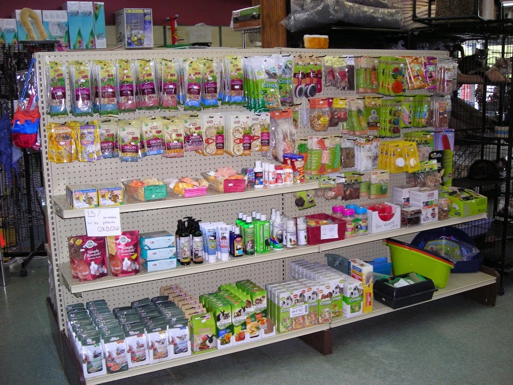 Animalerie Roufi | 855 Boulevard Ouellet, Thetford Mines, QC G6G 4X7, Canada | Phone: (418) 335-6147