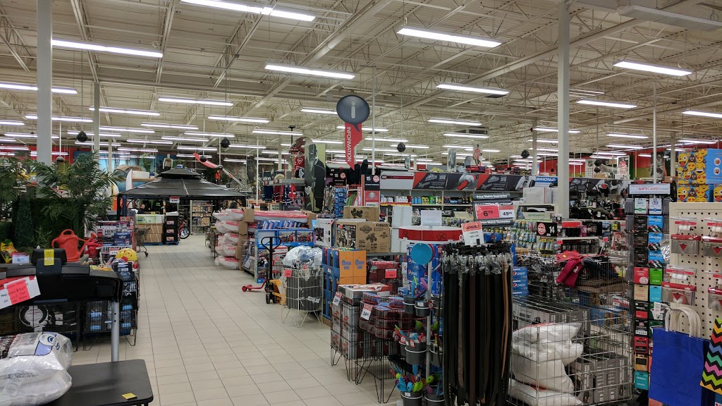 Canadian Tire | 465 Norwich Ave, Woodstock, ON N4S 3W5, Canada | Phone: (519) 539-1201