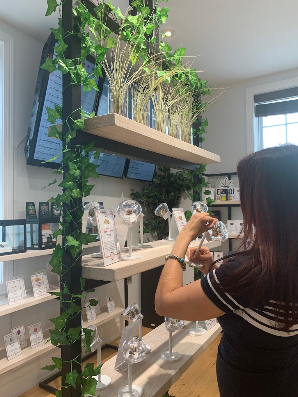 Alpha Cannabis | 118 Wellington St E, Aurora, ON L4G 1J1, Canada | Phone: (905) 503-2500