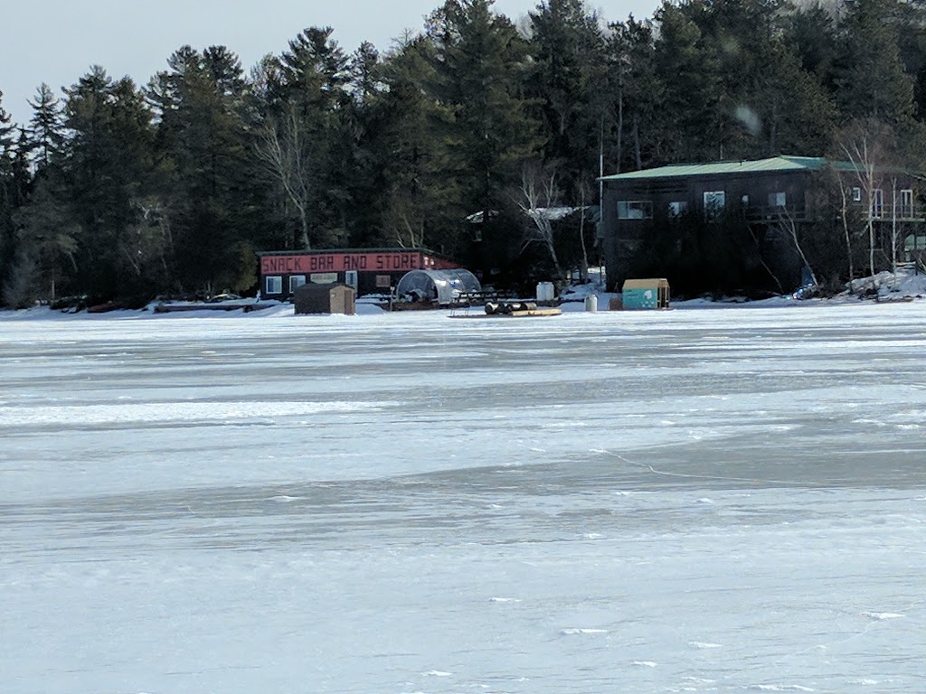 Loon Lodge Resort | 1724 Lake Temagami Access Road, Island 184, Temagami, ON P0H, Canada | Phone: (705) 237-8918