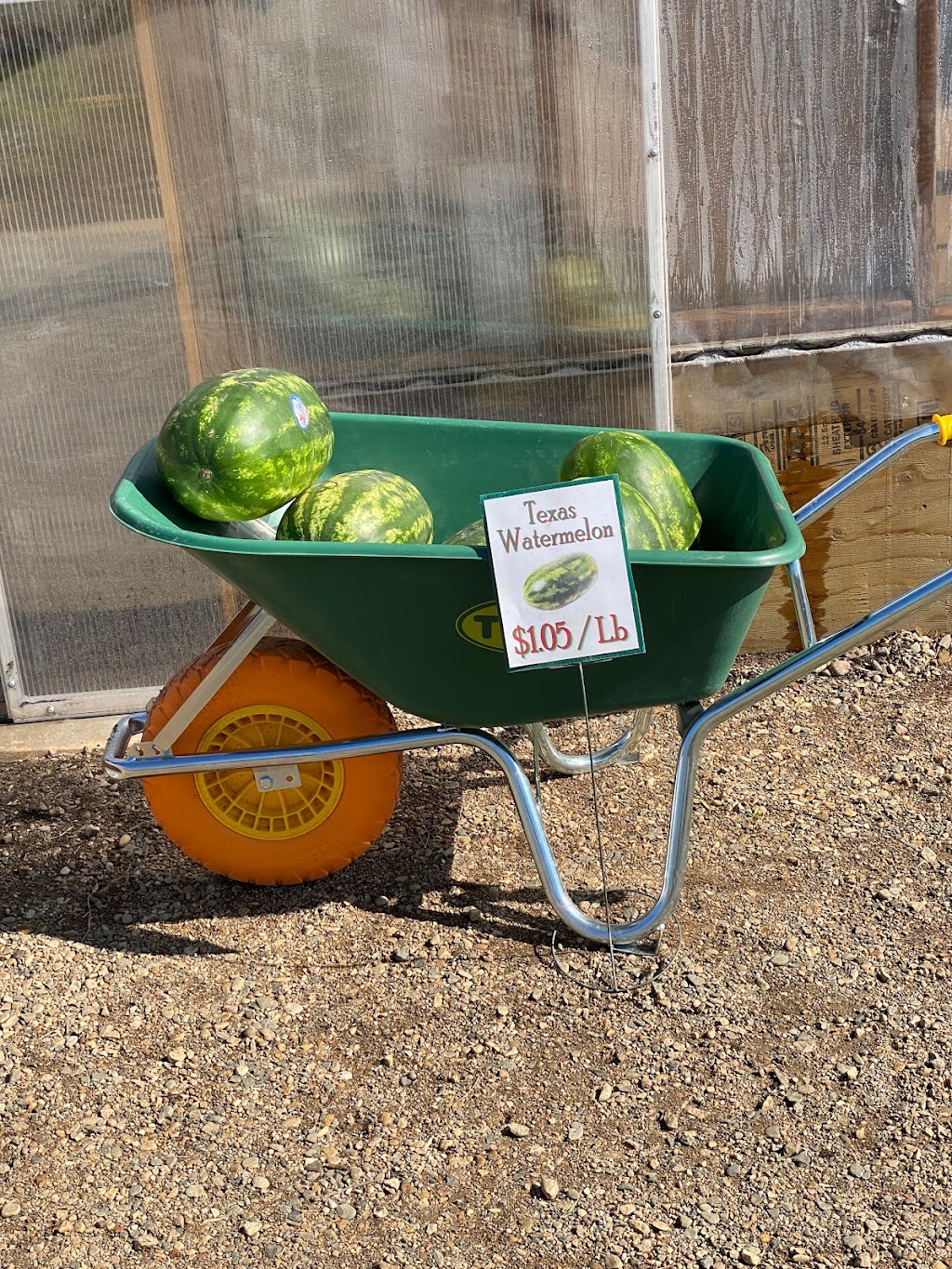 Parkside Gardens Greenhouse & Landscaping | MB-5, Riding Mountain, MB R0J 1T0, Canada | Phone: (204) 967-2135