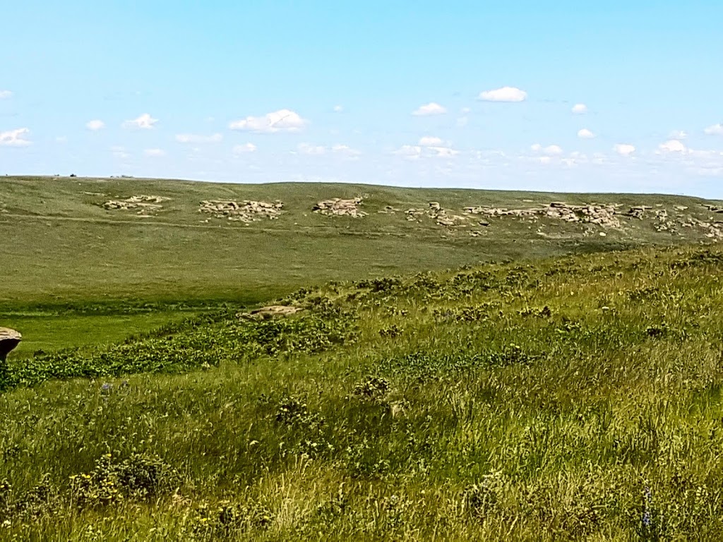Womens Buffalo Jump | Foothills No. 31, AB T0L 0P0, Canada