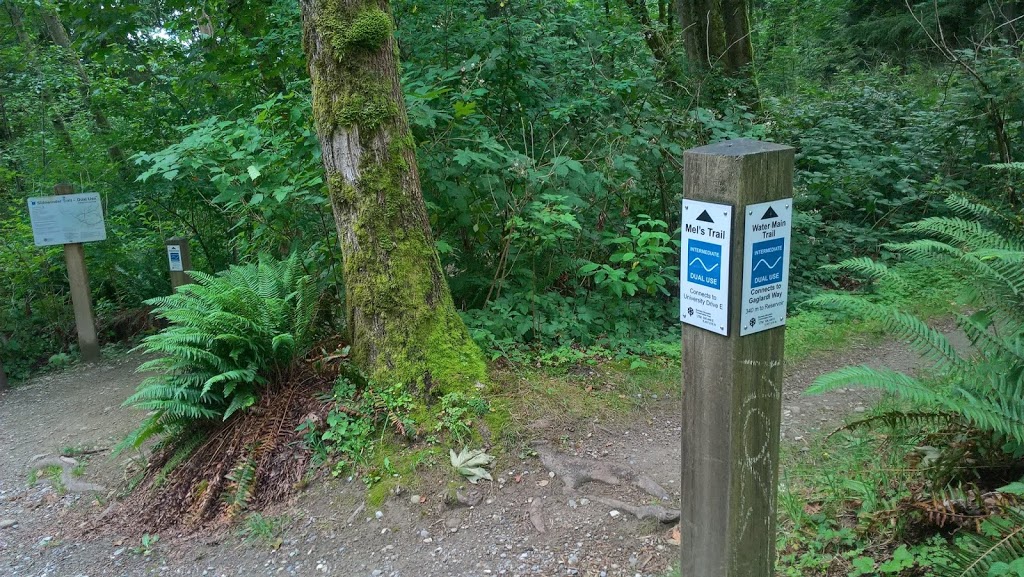 Burnaby Mountain Biking and Hiking Trails | University Dr E, Burnaby, BC V5A 4Y8, Canada | Phone: (604) 294-7944