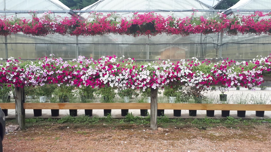 Freskiw Farms Muskoka | 1789 Highway 11 South, Kilworthy, ON P0E 1G0, Canada | Phone: (705) 689-3994