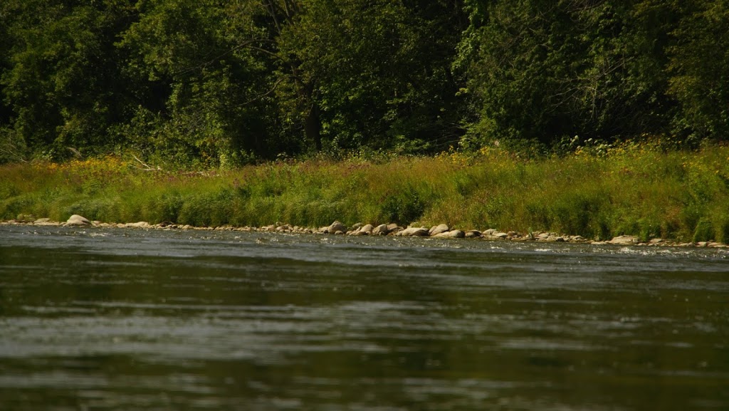 Grand Experiences | 115 Grand River St N, Paris, ON N3L 2M4, Canada | Phone: (888) 258-0441
