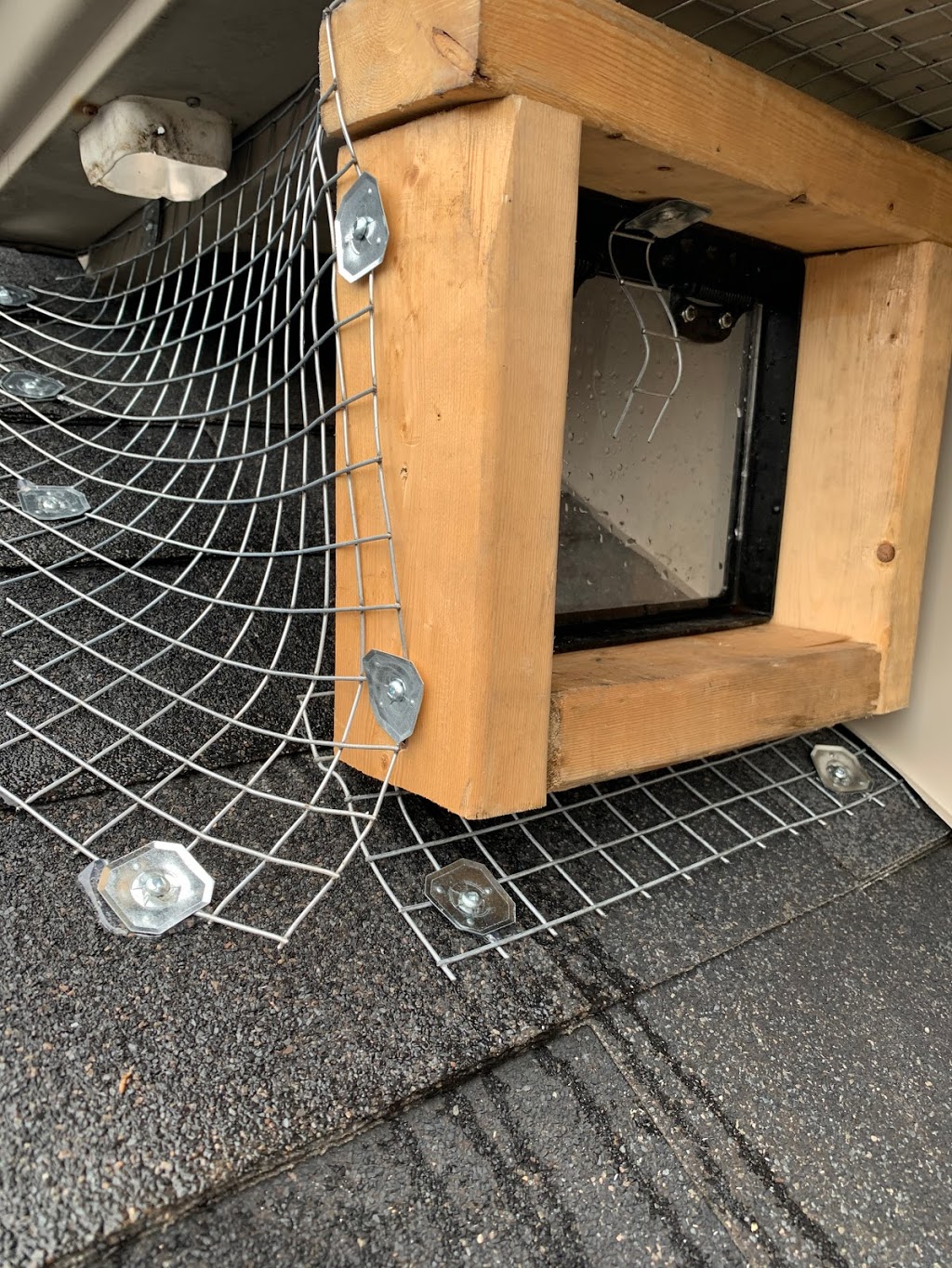 Simcoe Muskoka Wildlife Removal | 67 The Queensway, Barrie, ON L4M 7J3, Canada | Phone: (705) 794-7697
