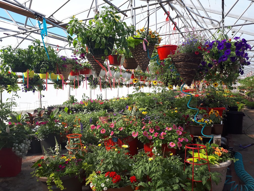 Jardins baie lactee | 1254 Chemin St Joseph, La Baie, QC G7B 3N9, Canada | Phone: (418) 446-1547