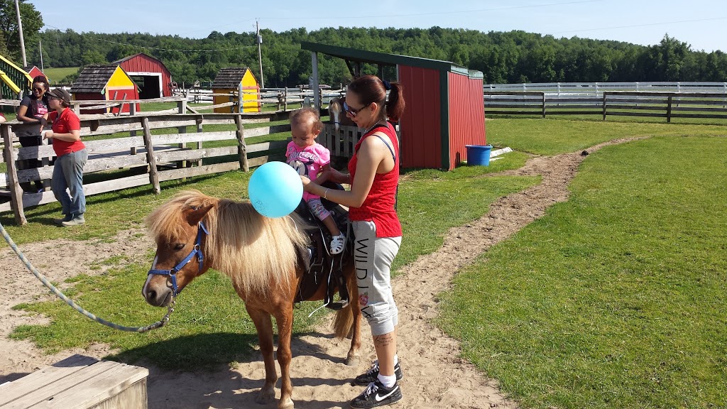 Old McDonalds Farm | 14369 County Rd 145, Sackets Harbor, NY 13685, USA | Phone: (315) 583-5737