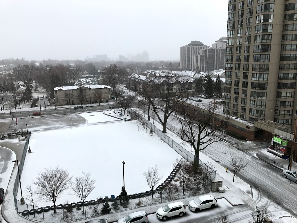 Claude Watson School for the Arts | 130 Doris Ave, North York, ON M2N 0A8, Canada | Phone: (416) 395-3180