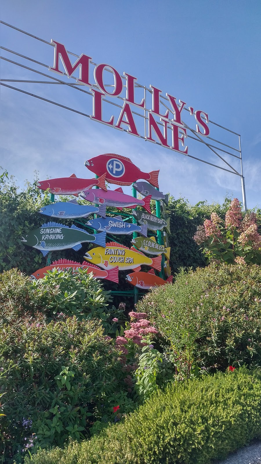 Mikes Place | 268 Gower Point Rd, Gibsons, BC V0N 1V8, Canada | Phone: (604) 886-5320