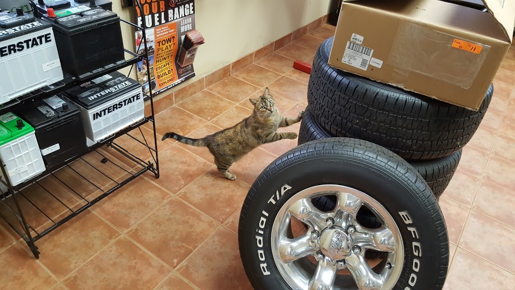 Green Tree Auto Care Inc. | 580 Riddell Rd, Orangeville, ON L9W 5H3, Canada | Phone: (519) 940-5402