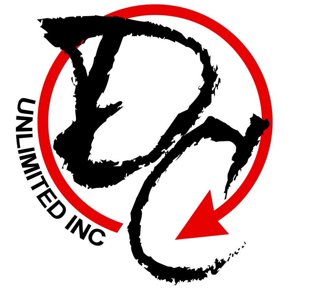 DC Unlimited Inc | car repair | 6 Tilbury Ct #1, Brampton, ON L6T 5L1, Canada | 9058744949 OR +1 905-874-4949