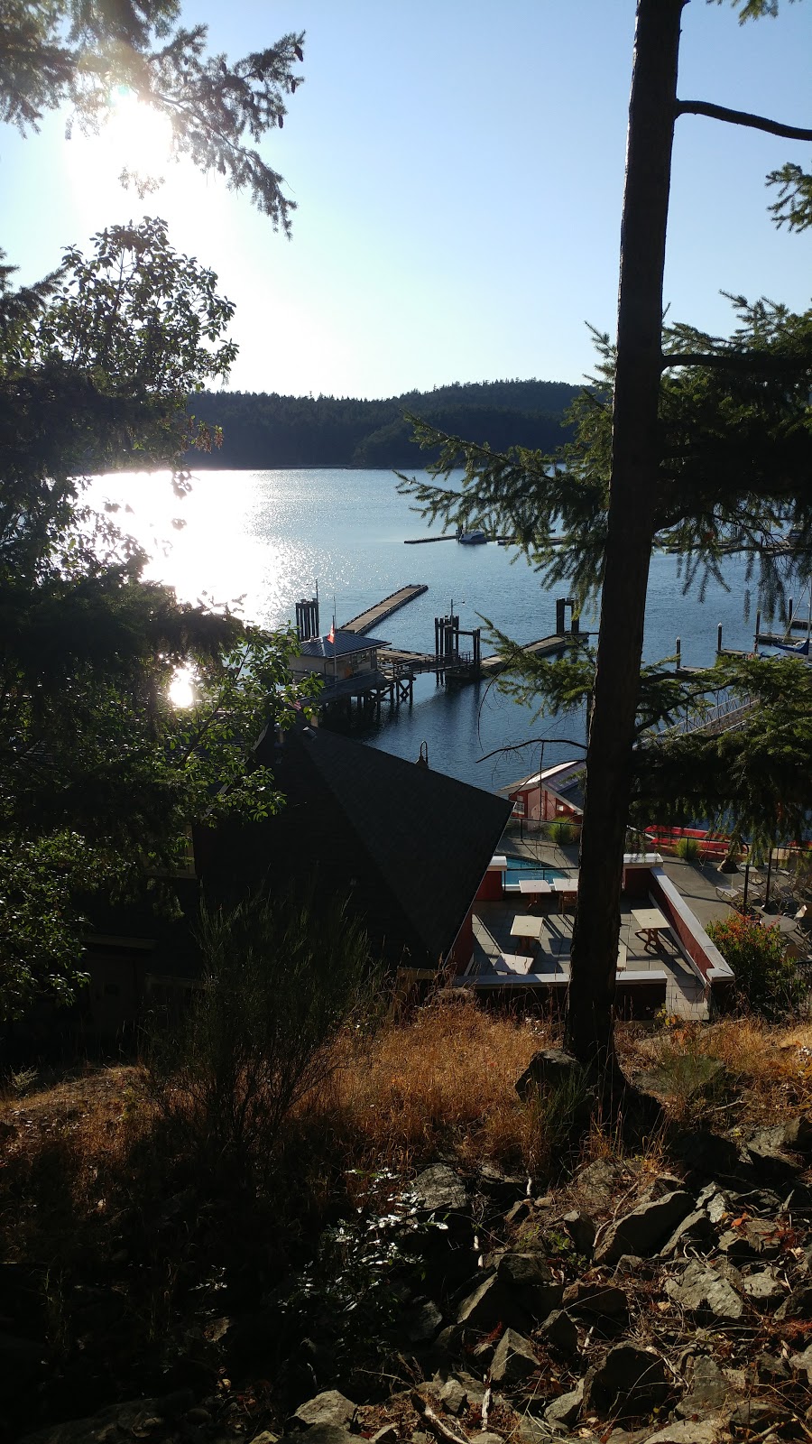 InfoMed | 4825 Cannon Crescent, Pender Island, BC V0N 2M2, Canada | Phone: (250) 629-0005