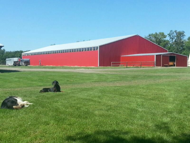 Rintoul Stables & Therapeutic Riding Center | SE 323823 West, Humboldt, SK S0K 2A0, Canada | Phone: (306) 231-4328