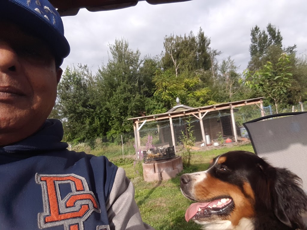 Chilliwack Farm | 43807 Keith Wilson Rd, Chilliwack, BC V2R 4B5, Canada | Phone: (778) 893-6456