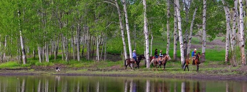 A P Guest Ranch | 4220 Princeton-Kamloops Hwy #1148, Thompson-Nicola N, BC V1K 1B8, Canada | Phone: (250) 378-6520