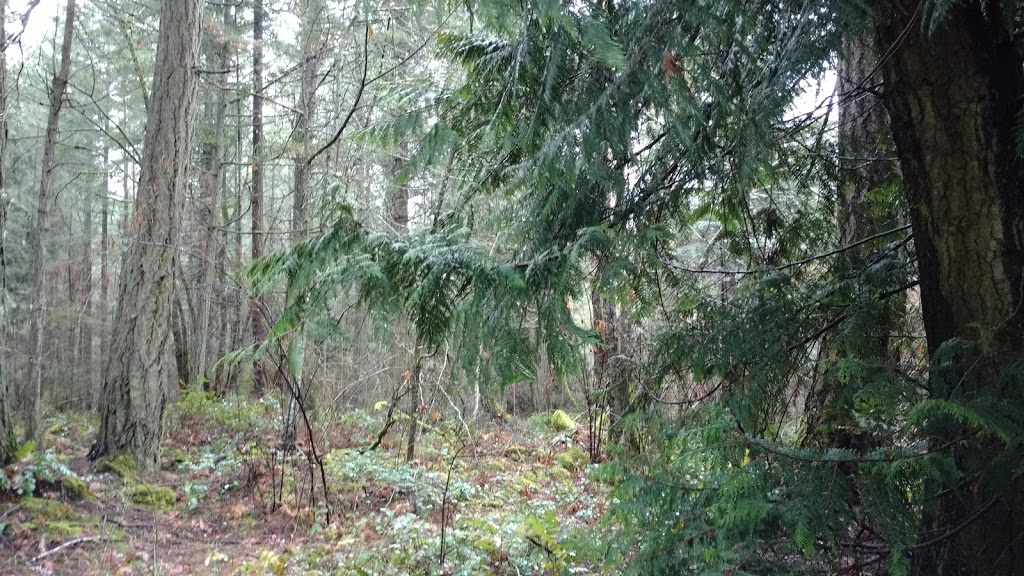 Christ Church Gabriola | 2600 South Rd, Gabriola, BC V0R 1X7, Canada | Phone: (250) 247-8633