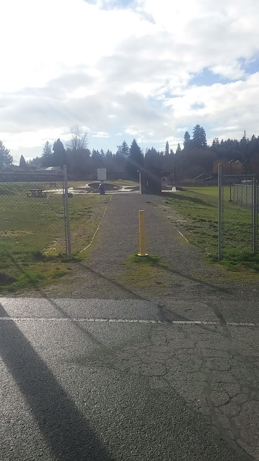 Chemainus Skate Park | 3017 st, 3023 Elliott St, Chemainus, BC V0R 1K1, Canada | Phone: (250) 246-3811