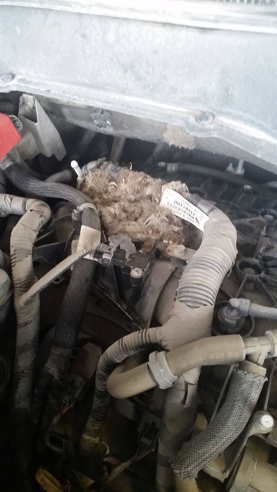Mr. Lube | 3767 Strandherd Dr, Nepean, ON K2J 4B1, Canada | Phone: (613) 825-8777