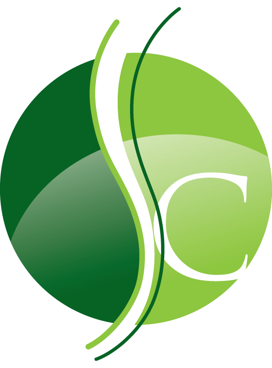 Chiropractique Alonzo | 2348 Rue Saint-Louis, Gatineau, QC J8V 1A2, Canada | Phone: (819) 246-4910