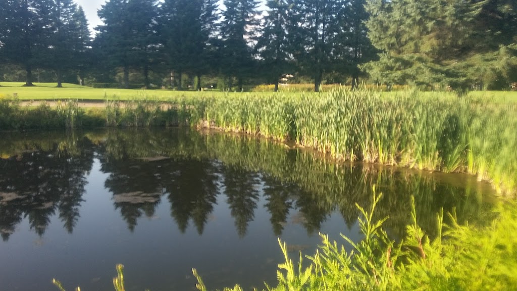 Club De Golf Ste Flore | 5401 Chem. des Pionniers, Grand-Mère, QC G9T 3N5, Canada | Phone: (819) 533-4555