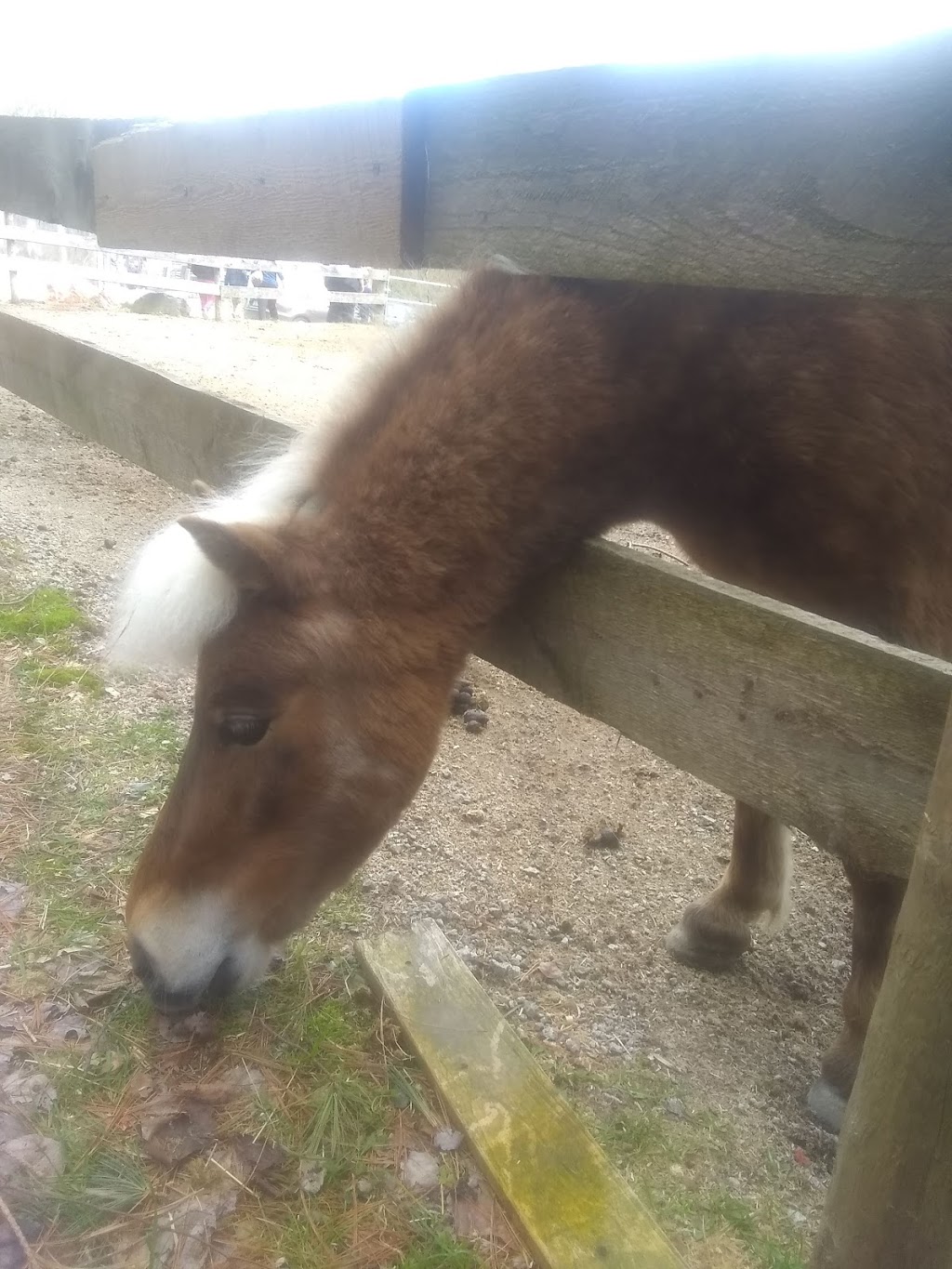 Hinchinbrook Farm | 652 NS-325, Blockhouse, NS B0J 1E0, Canada | Phone: (902) 624-0603