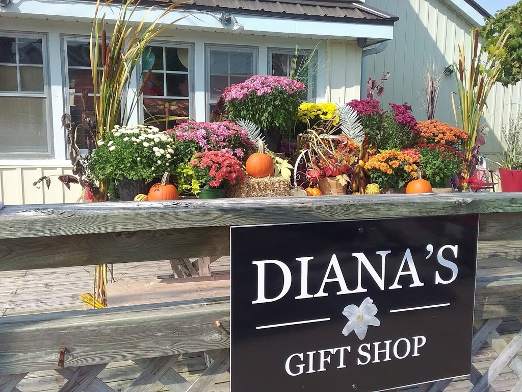 ROSEDALE MINI GARDENS AND DIANAS GIFTS**AT 21 FRANCIS ST WEST | Dianas Gift Shop & Rosedale Mini Gardens at, 21 Francis St W, Fenelon Falls, ON K0M 1N0, Canada | Phone: (416) 996-4615