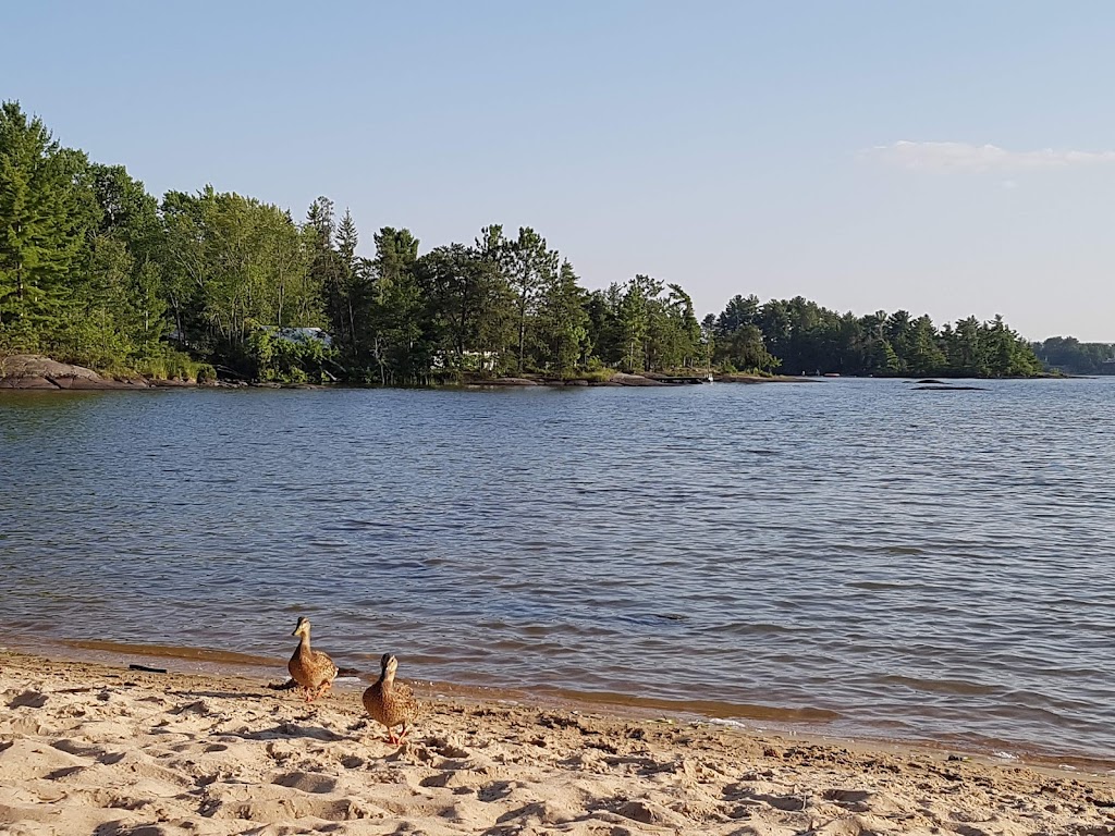 South Shore Camping & Ice Condos | 678 Sunset Cove Rd, Callander, ON P0H 1H0, Canada | Phone: (705) 752-4674