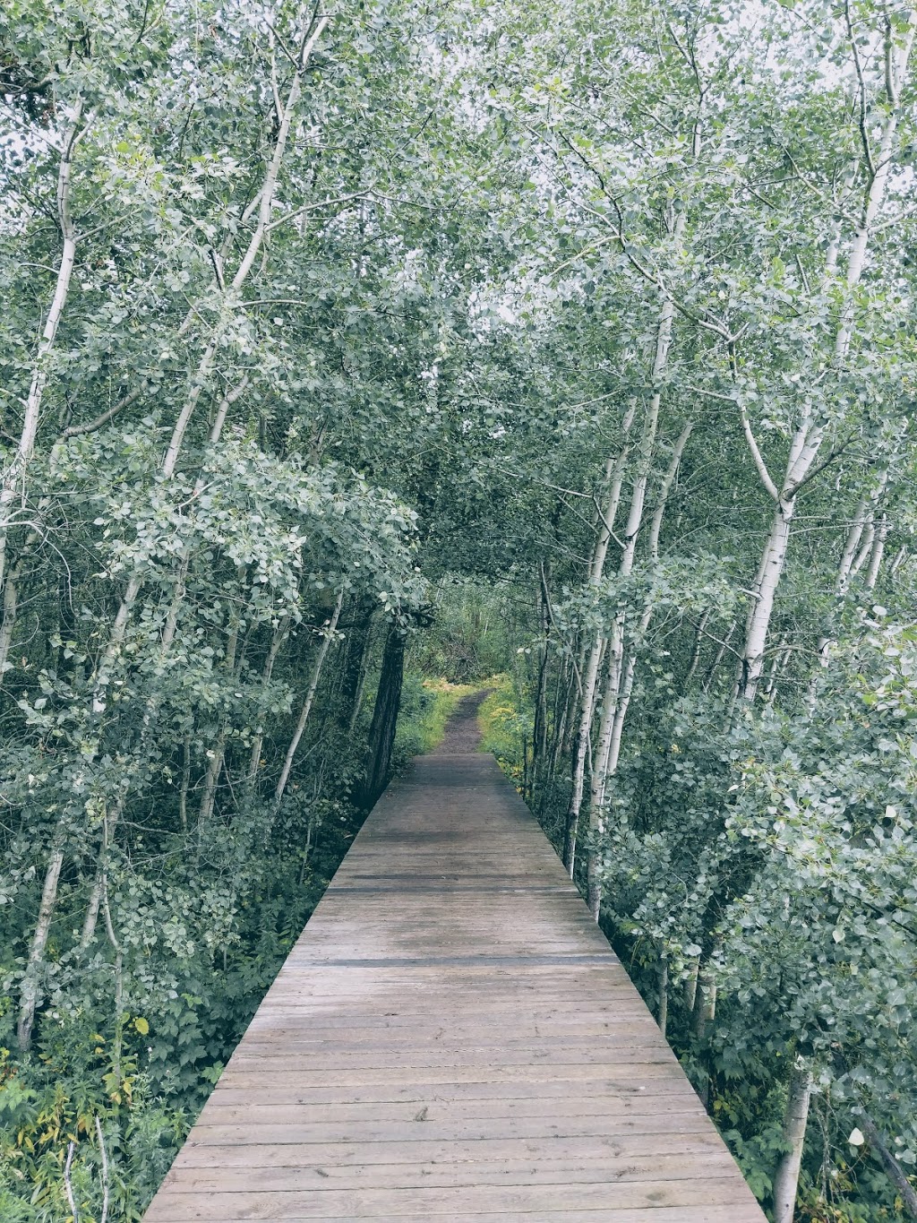 Tawayik Lake Trail | Tawayik Lake Access Rd, Ardrossan, AB T8G 2A6, Canada | Phone: (877) 737-3783