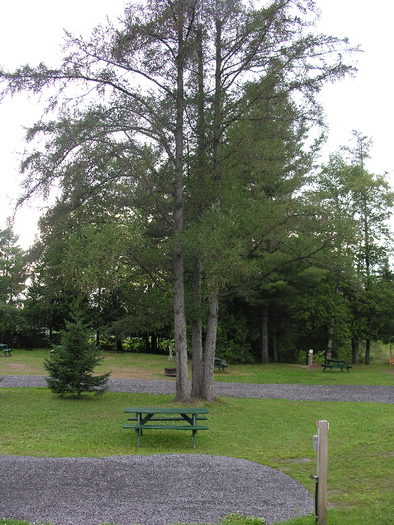 Sprucelawn Apartments For Seniors | 33 Front St Box 721, St. Jacobs, ON N0B 2N0, Canada | Phone: (519) 664-1311