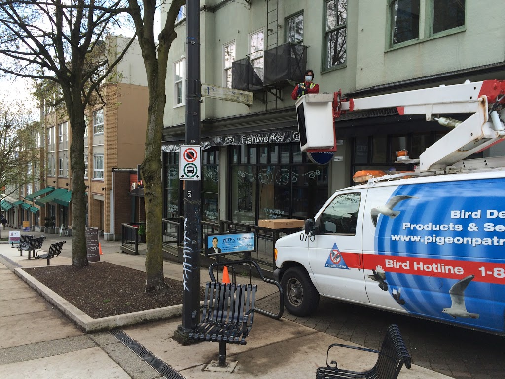 Pigeon Patrol Products & Services | 17665 66A Ave, Surrey, BC V3S 2A7, Canada | Phone: (604) 585-9279