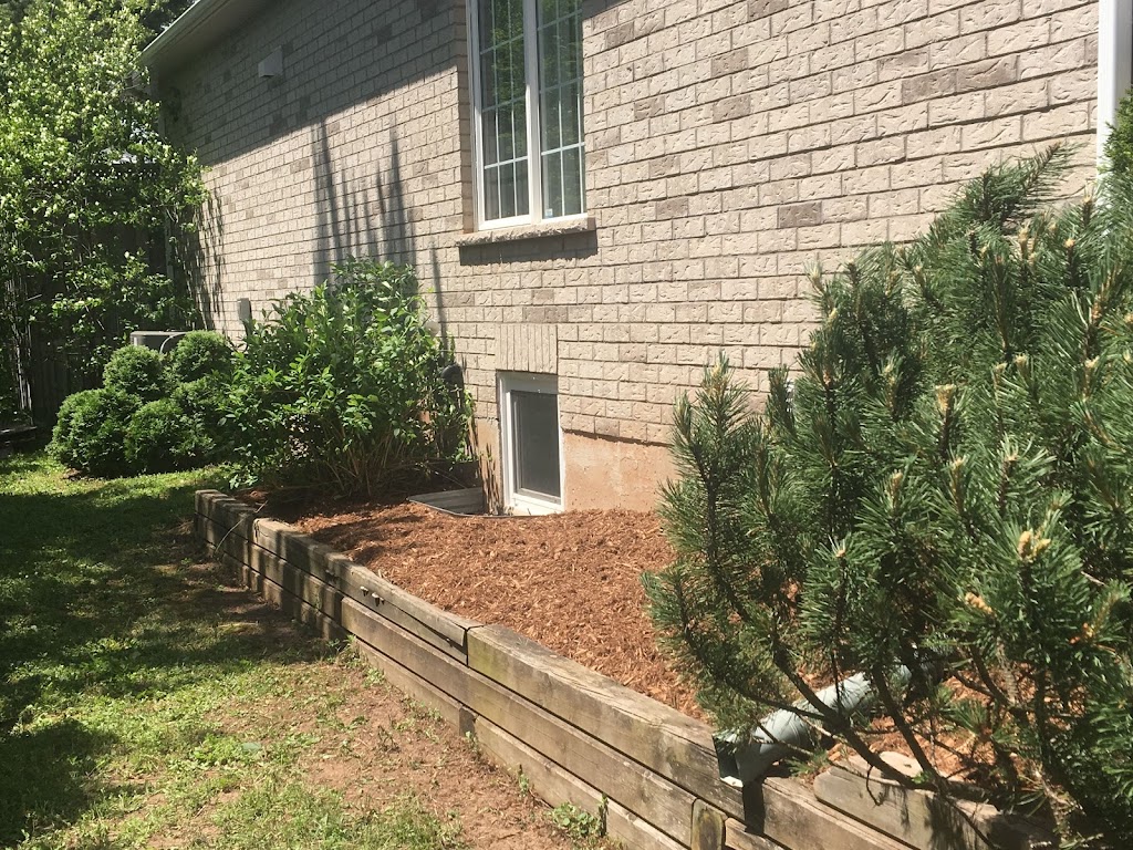 Connected Lawn Care | 2041 Westfield Dr, Mississauga, ON L4Y 1P2, Canada | Phone: (416) 937-6702