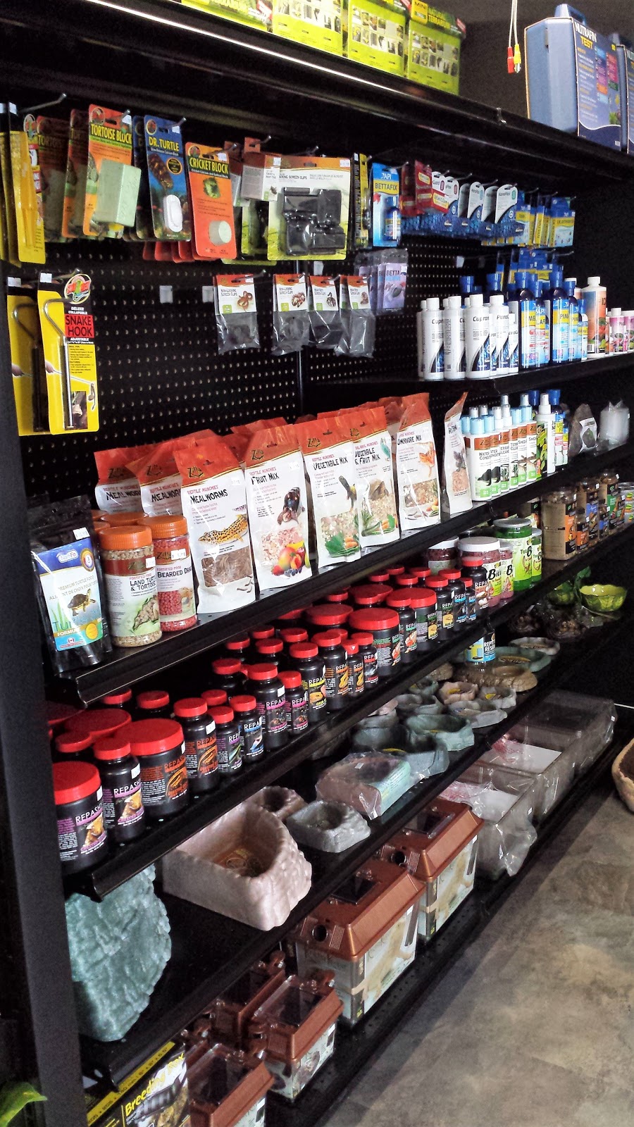 Oasis Fish & Reptile Ltd. | 8 Riel Dr #6, St. Albert, AB T8N 3Z7, Canada | Phone: (780) 458-0039