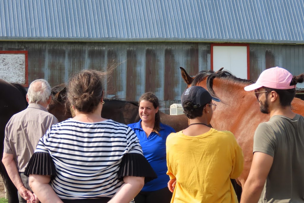 LaVoie du cheval | 90 2 Rang E, Trois-Pistoles, QC G0L 4K0, Canada | Phone: (450) 302-9729