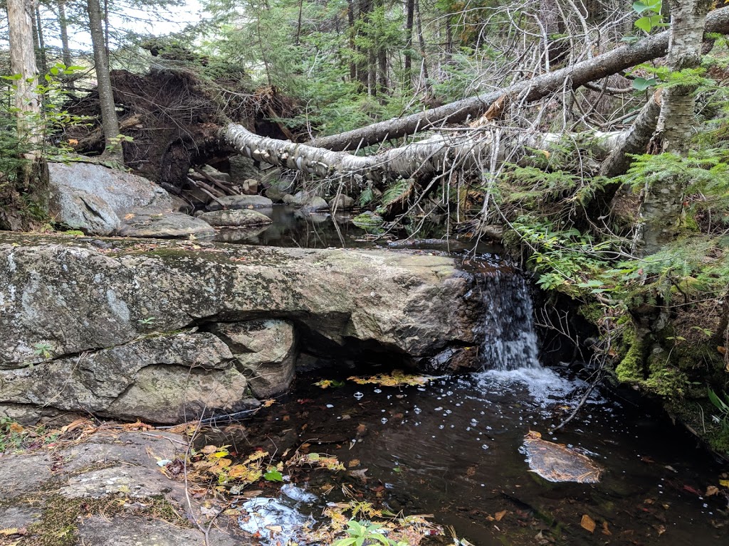 Sentier Du Mont-sourire / Stationnement Saint-donat-de-montcalm Photos