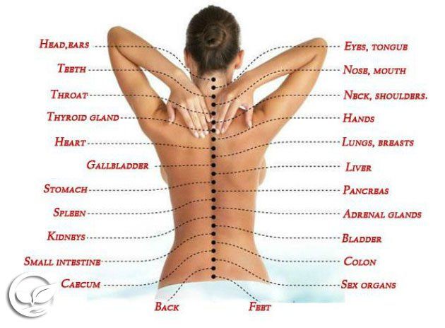 Got Your Back Therapeutic Massage Services | 60 Harmony Crescent, Stony Plain, AB T7Z 2S3, Canada | Phone: (780) 908-4100