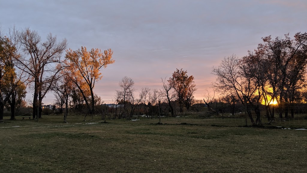 Weyburn Dog Park | Weyburn, SK S4H, Canada | Phone: (306) 842-3741