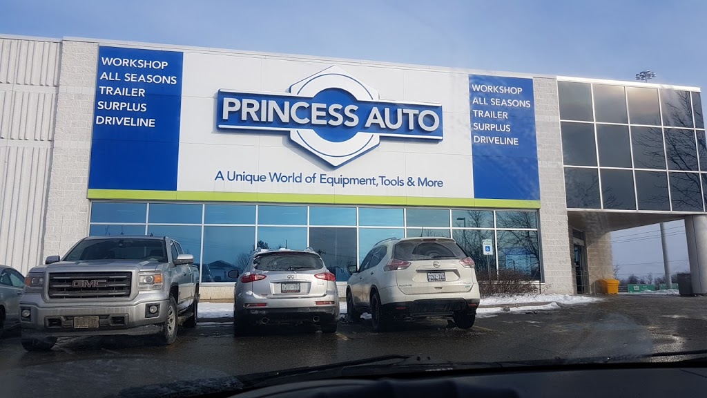 Princess Auto | car repair | 2 Executive Pl, Kitchener, ON N2P 2N4, Canada | 5197430742 OR +1 519-743-0742