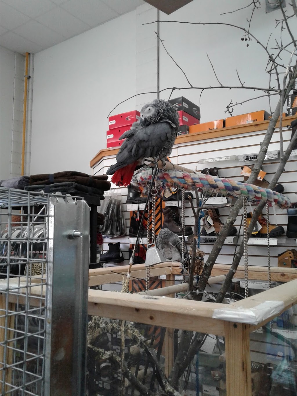 Clarke & Fils Ltee | 2881 Rue College, Sherbrooke, QC J1M 2C2, Canada | Phone: (819) 562-9444