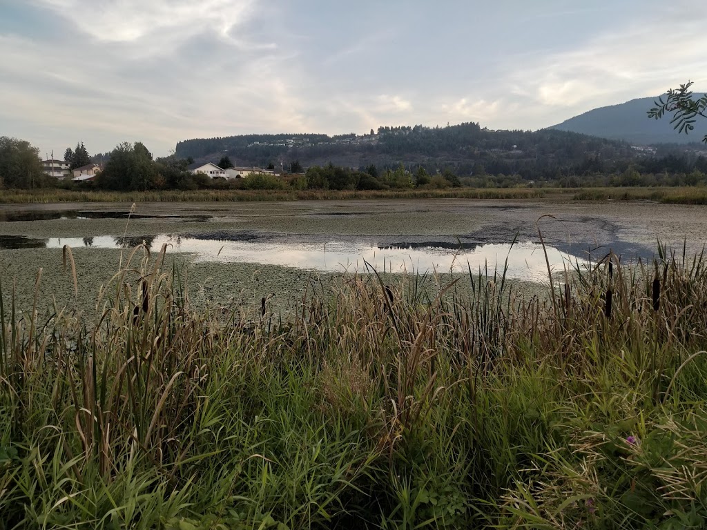 Buttertubs Marsh Park | 197 Bird Sanctuary Dr, Nanaimo, BC V9R 6G8, Canada | Phone: (250) 754-4251