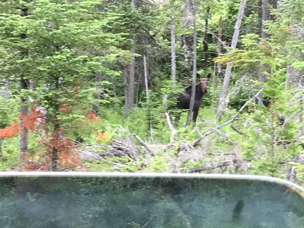 Lake View Store | 4531 VT-114, Norton, VT 05907, USA | Phone: (802) 822-5708