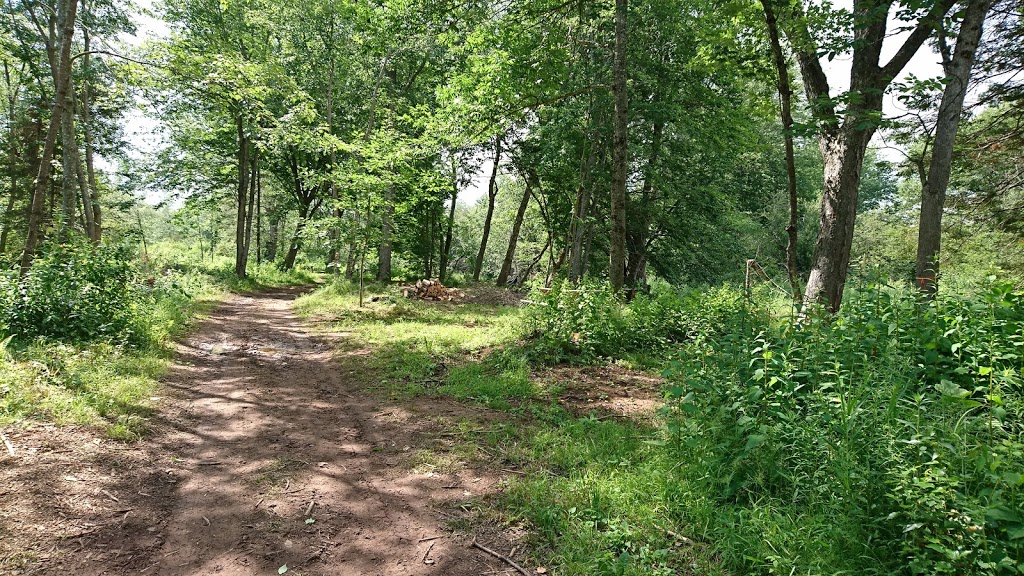 Riverbend Family Campground | 423 Salisbury Back Rd, Salisbury, NB E4J 1K4, Canada | Phone: (506) 801-0269
